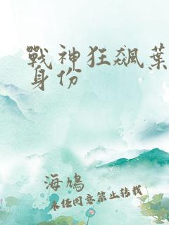 战神狂飙叶无缺身份