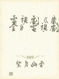 电视剧《岁月如金》电视剧全集