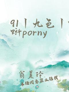 91丨九色丨蝌蚪porny