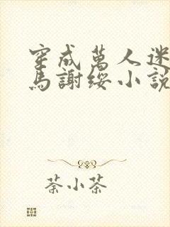 穿成万人迷的竹马谢绥小说