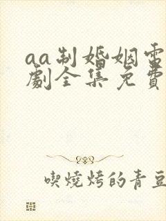 aa制婚姻电视剧全集免费观看