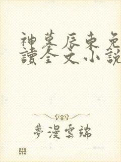 神墓辰东免费阅读全文小说