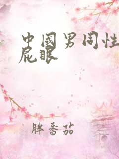 中国男同性恋操屁眼