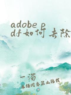 adobe pdf如何去除水印