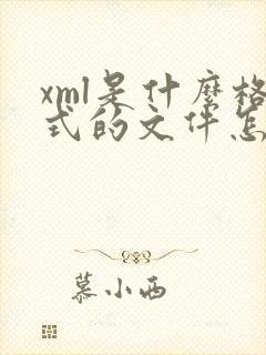 xml是什么格式的文件怎么转换