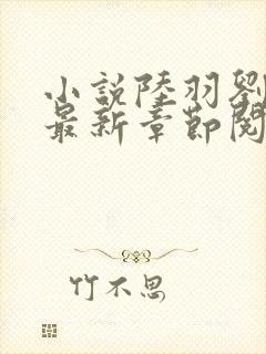 小说陆羽刘云峰最新章节阅读