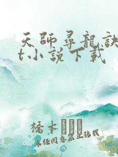 天师寻龙诀txt小说下载
