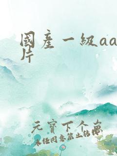 国产一级aaa片