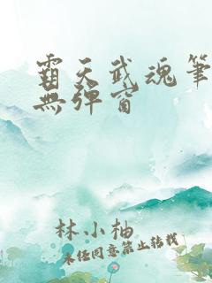 霸天武魂笔趣阁无弹窗