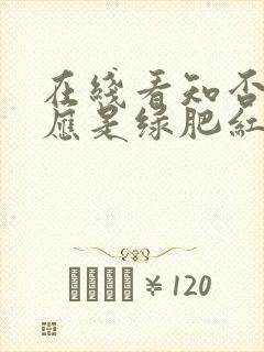 在线看知否知否应是绿肥红瘦