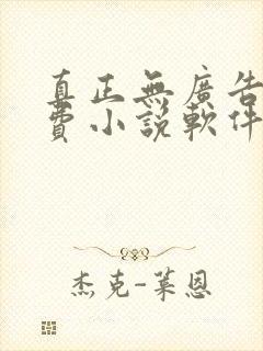 真正无广告的免费小说软件