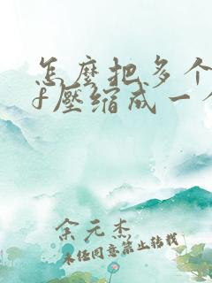 怎么把多个pdf压缩成一个文件