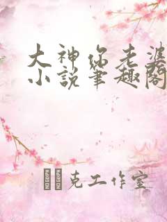 大神你老婆掉了小说笔趣阁