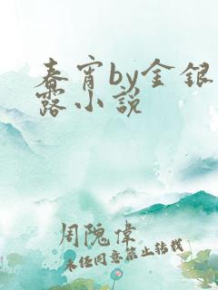 春宵by金银花露小说