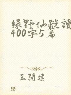 绿野仙踪读后感400字5篇