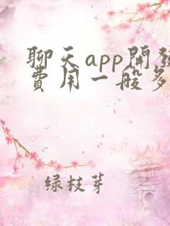 聊天app开发费用一般多少钱