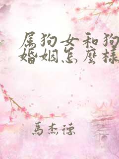 属狗女和狗男的婚姻怎么样