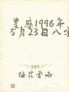 农历1996年5月23日八字算命