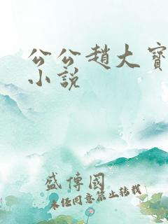 公公赵大宝苏媚小说