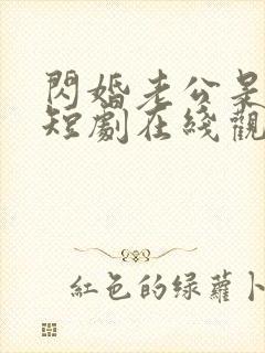 闪婚老公是豪门短剧在线观看