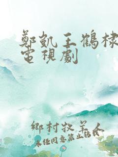 郑凯王鹤棣演的电视剧