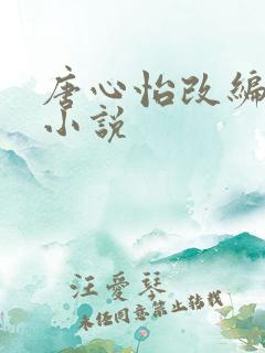 唐心怡改编绿帽小说