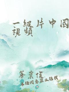 一级片中国少妇视频
