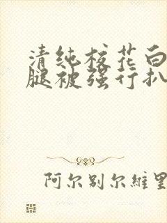 清纯校花白丝双腿被强行扒开
