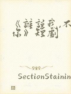 《谁说我,不爱你》短剧