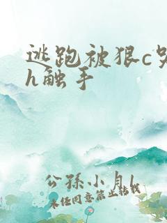 逃跑被狠c哭高h触手