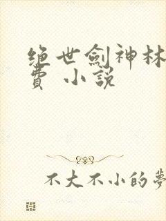绝世剑神林辰免费 小说
