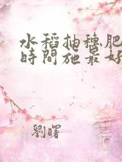 水稻抽穗肥什么时间施最好
