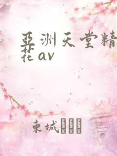 亚洲天堂精品探花av