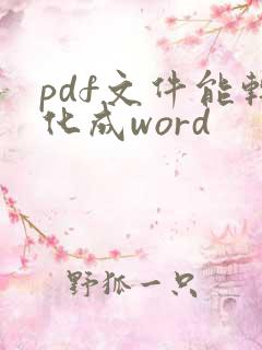 pdf文件能转化成word