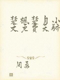 楚枫楚月小说全文免费天骄