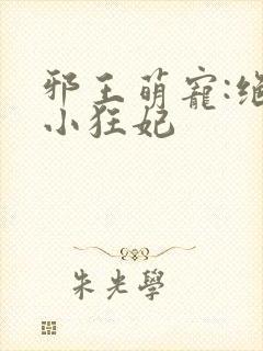 邪王萌宠:绝色小狂妃