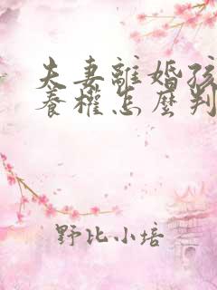 夫妻离婚孩子抚养权怎么判定一个孩子