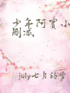少年阿宾小说无删减