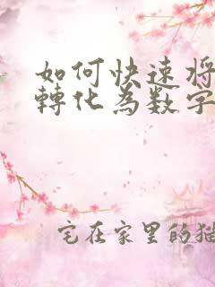 如何快速将文本转化为数字