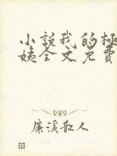 小说我的极品小姨全文免费阅读