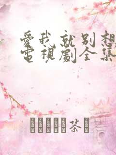 爱我就别想太多电视剧全集免费观看在线播放