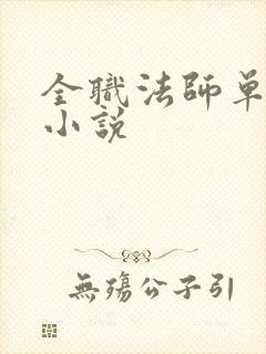 全职法师单女主小说