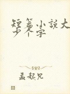 短篇小说大概多少个字