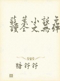 苏叶小说免费阅读全文无弹窗