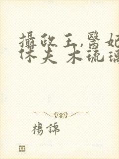 摄政王,医妃要休夫 木琉璃