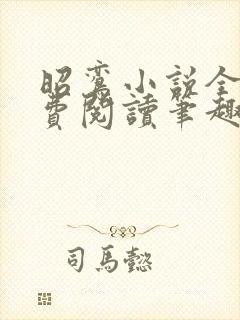 昭鸾小说全文免费阅读笔趣阁