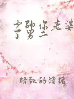 少帅你老婆又跑了男二