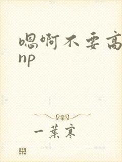 嗯啊不要高h np