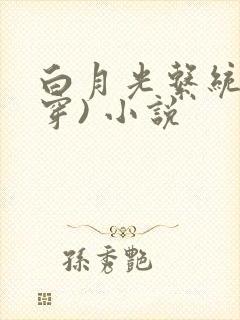 白月光系统(快穿) 小说