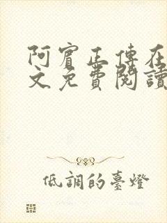 阿宾正传在线全文免费阅读无删减